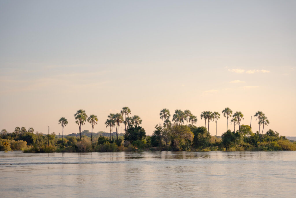 River with an island of palm trees at sunset, calm waters reflecting the sky on the riverfront island.