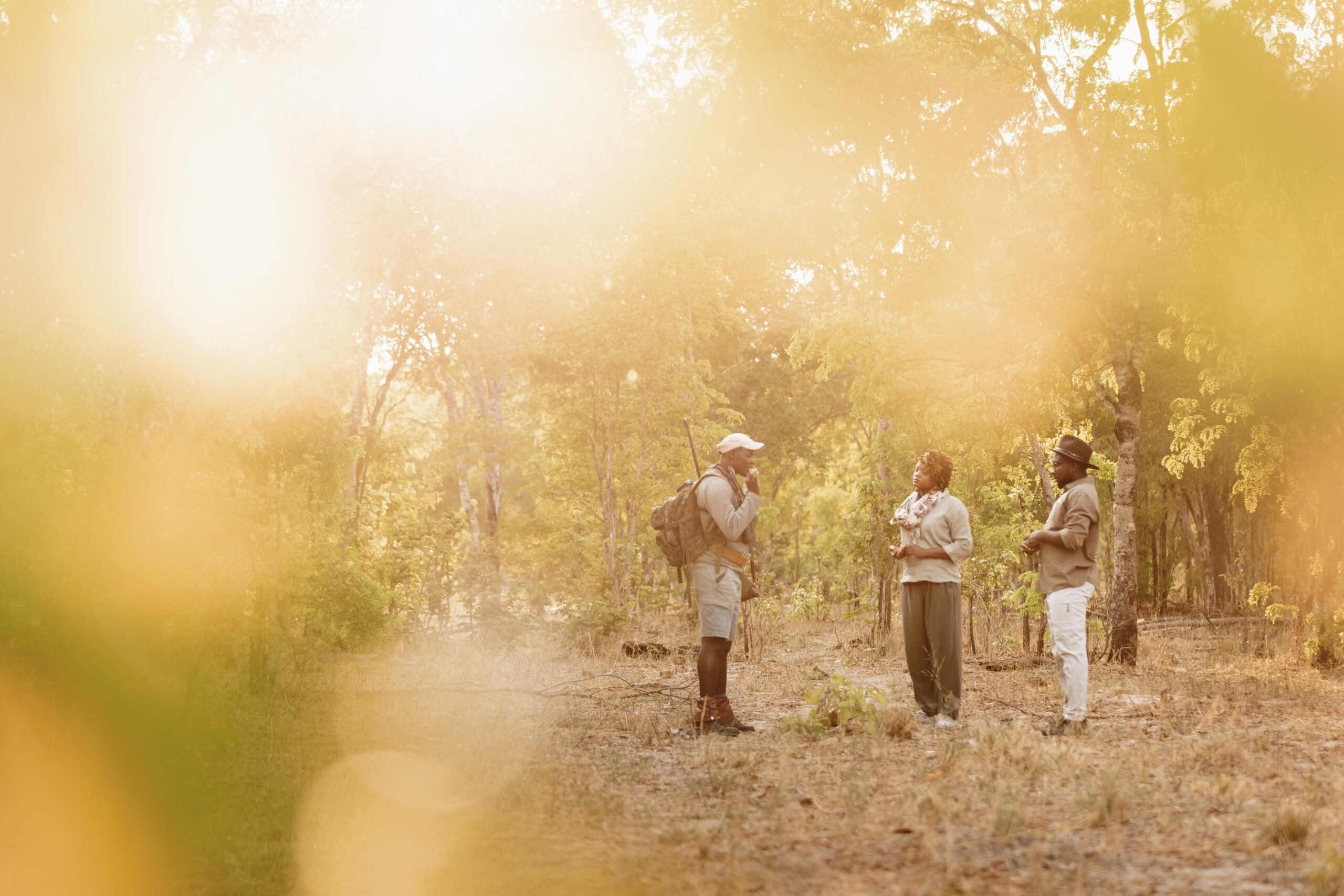 Three hikers stand in a sunlit forest clearing, one with a large backpack and shoulder gear, talking with two others as golden hour light filters through the trees.