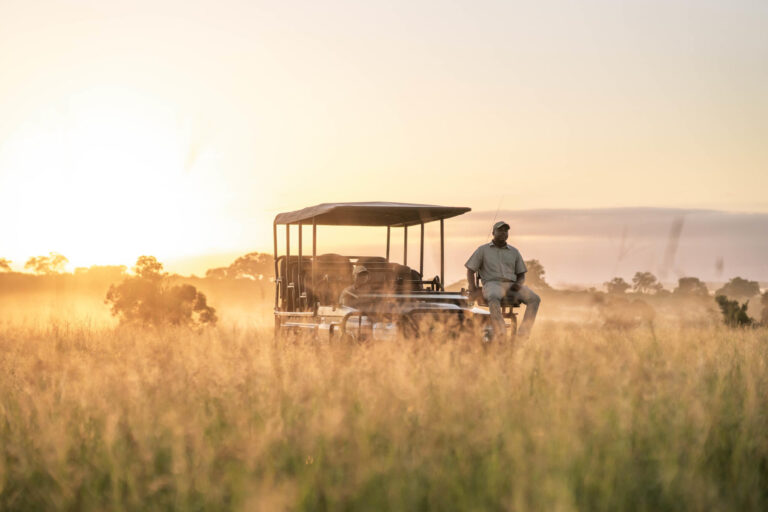 Game Drive - Go Do Africa