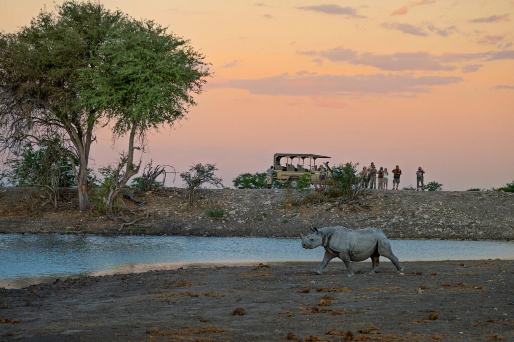 A white rhinoceros walking along a muddy riverbank at sunset while a safari vehicle and hikers watch from the opposite shore.