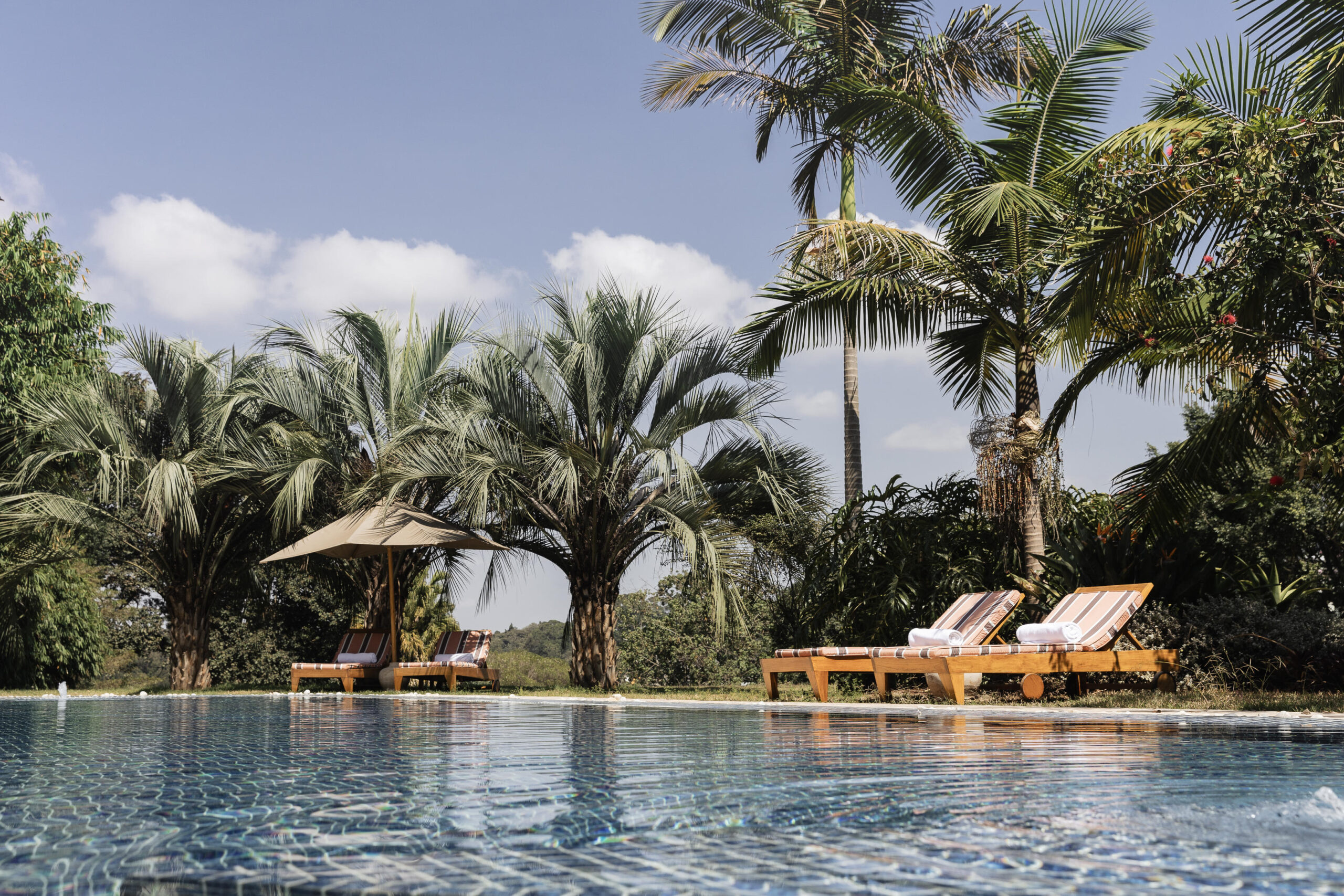 Swimming Pool_1 - Go Do Africa Poolside scene with wooden lounge chairs under a beige umbrella beside a palm-lined tropical garden on a sunny day within a tiled pool edge area