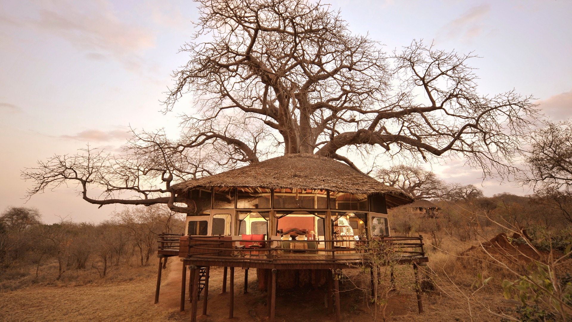Tree-House-Lit-Inside-at-Tarangire-Tops - Go Do Africa