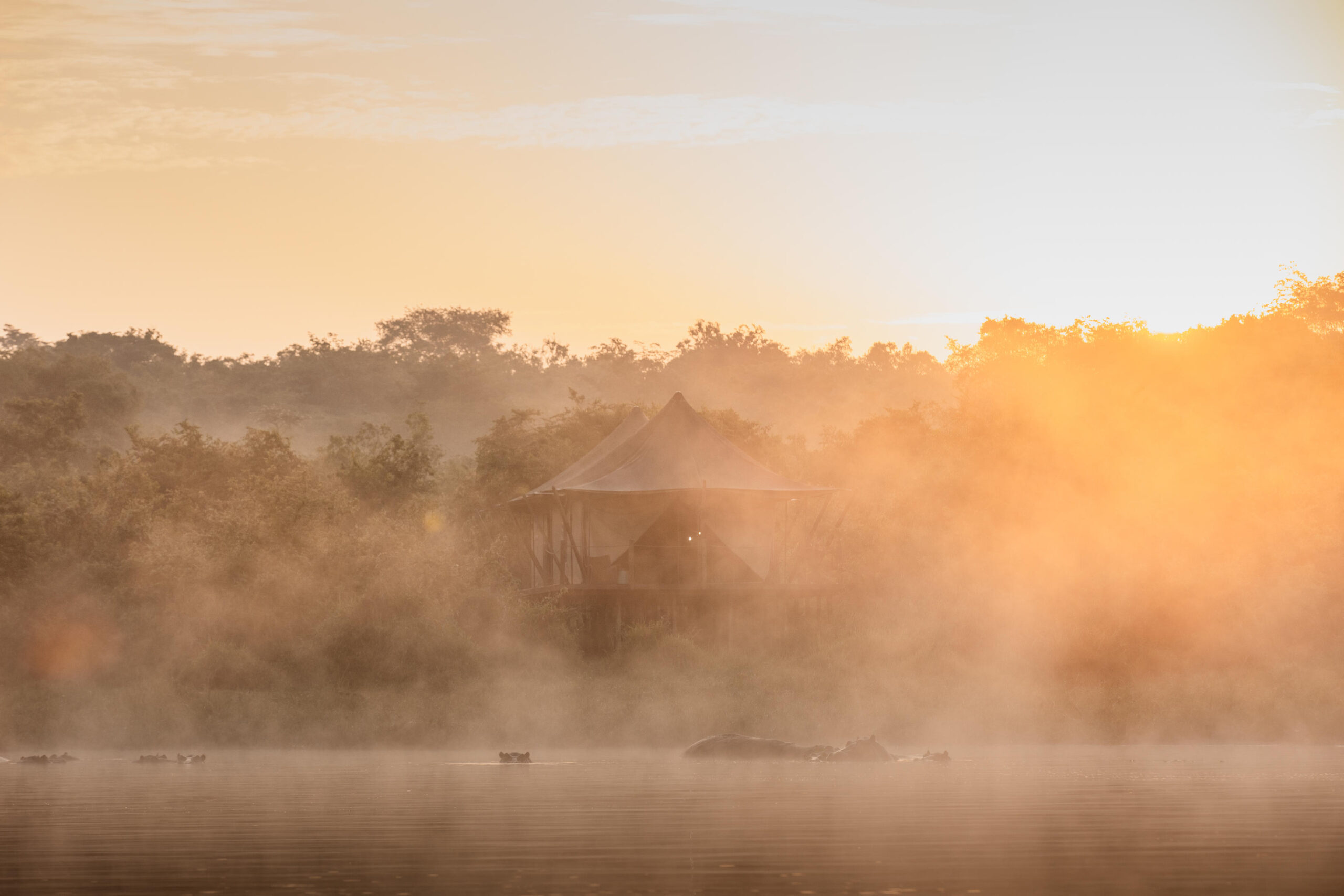 Sunrise over a misty lake with a thatched hut on stilts among trees shrouded in golden fog.
