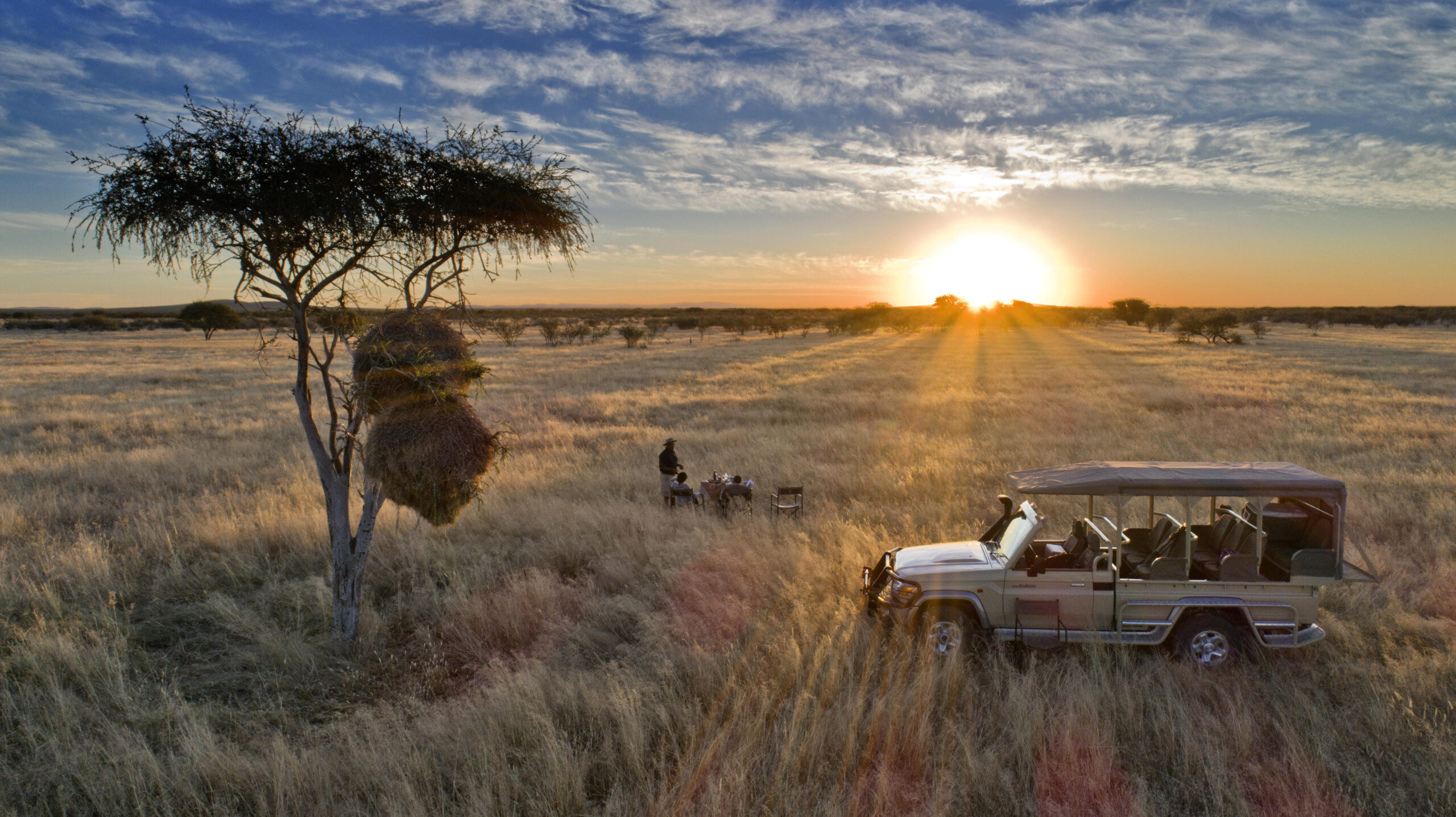 Safari scene at sunset: a beige jeep parked in tall dry grass, a small group dining near a tree on the wide savanna horizon.